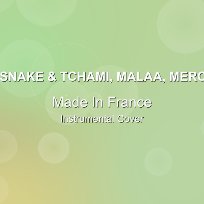 Made In France - DJ Snake & Tchami, Malaa, Mercer - Instrumental CoverInstrumental Covers