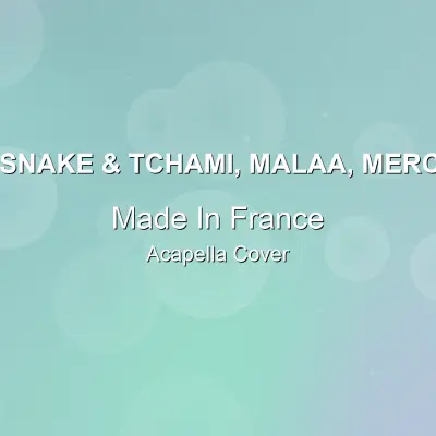 Made In France - DJ Snake & Tchami, Malaa, Mercer - Acapella CoverAcapella Covers