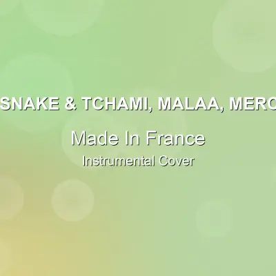 Made In France - DJ Snake & Tchami, Malaa, Mercer - Instrumental CoverInstrumental Covers