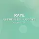 WHERE IS MY HUSBAND! - RAYE - Acapella Cover